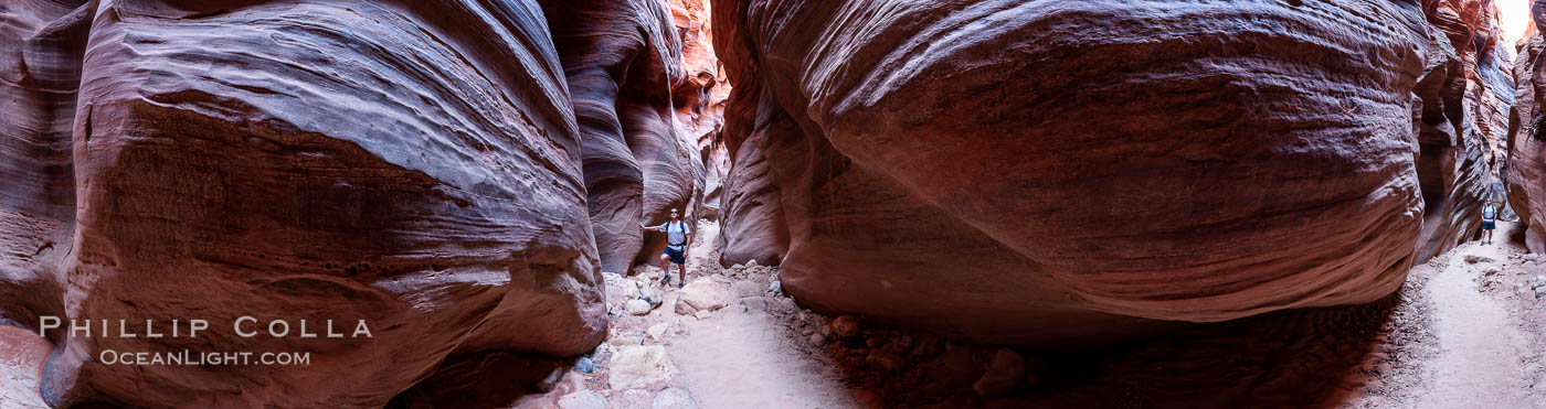 Buckskin Gulch hiker.  A hiker moves through the deep narrow passages of Buckskin Gulch, a slot canyon cut deep into sandstone by years of river-induced erosion.  In some places the Buckskin Gulch narrows are only about 15 feet wide but several hundred feet high, blocking sunlight.  Flash floods are dangerous as there is no escape once into the Buckskin Gulch slot canyons.  This is a panorama made of sixteen individual photos. Paria Canyon-Vermilion Cliffs Wilderness, Arizona, USA, natural history stock photograph, photo id 20699