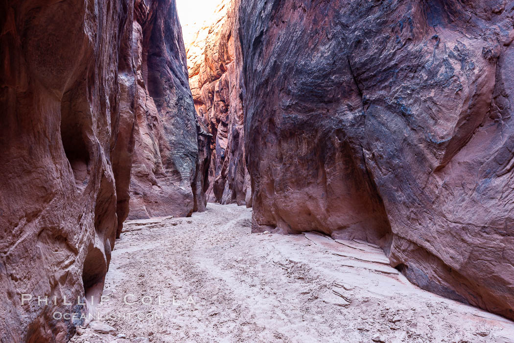 Buckskin Gulch.  Rising above a sand wash are the towering walls and narrow passageways of Buckskin Gulch, a dramatic slot canyon forged by centuries of erosion through sandstone.  Buckskin Gulch is the worlds longest accessible slot canyon, running from the Paria River toward the Colorado River.  Flash flooding is a serious danger in the narrows where there is no escape. Paria Canyon-Vermilion Cliffs Wilderness, Arizona, USA, natural history stock photograph, photo id 20724