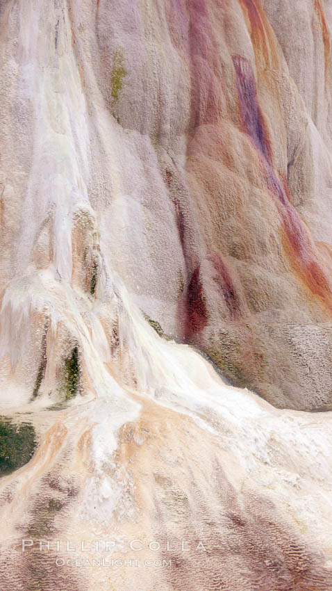 Calcium carbonate and algae detail, Orange Spring Mound. Mammoth Hot Springs, Yellowstone National Park, Wyoming, USA, natural history stock photograph, photo id 19802