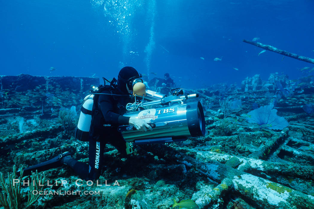 Cameraman. Bahamas, natural history stock photograph, photo id 00696