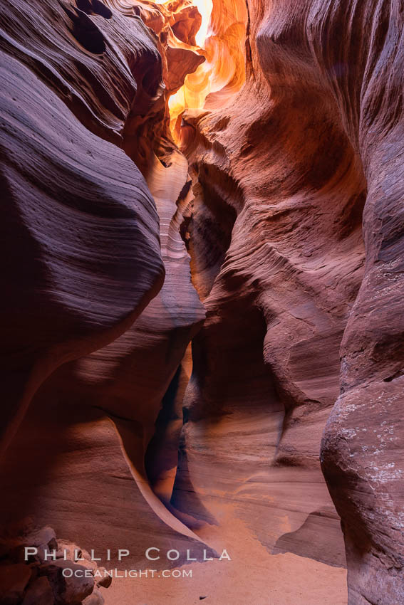 Canyon X, a spectacular slot canyon near Page, Arizona.  Slot canyons are formed when water and wind erode a cut through a (usually sandstone) mesa, producing a very narrow passage that may be as slim as a few feet and a hundred feet or more in height. USA, natural history stock photograph, photo id 36010