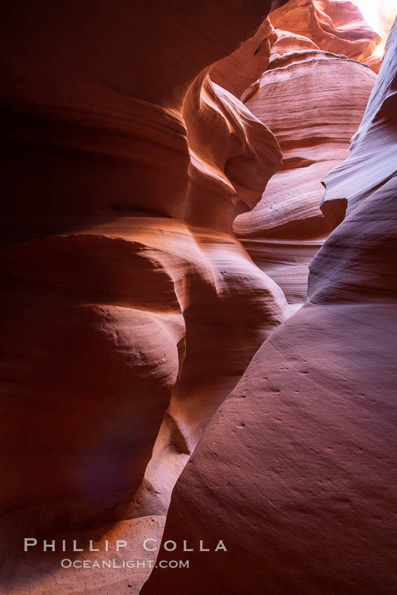 Canyon X, a spectacular slot canyon near Page, Arizona.  Slot canyons are formed when water and wind erode a cut through a (usually sandstone) mesa, producing a very narrow passage that may be as slim as a few feet and a hundred feet or more in height. USA, natural history stock photograph, photo id 36018