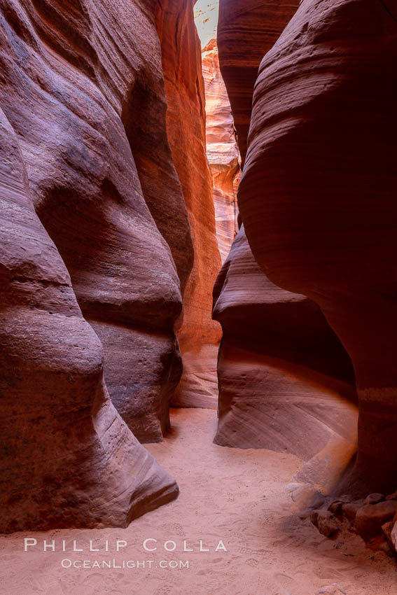 Canyon X, a spectacular slot canyon near Page, Arizona.  Slot canyons are formed when water and wind erode a cut through a (usually sandstone) mesa, producing a very narrow passage that may be as slim as a few feet and a hundred feet or more in height. USA, natural history stock photograph, photo id 36007