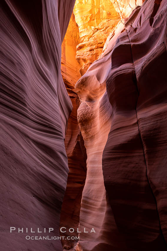 Canyon X, a spectacular slot canyon near Page, Arizona.  Slot canyons are formed when water and wind erode a cut through a (usually sandstone) mesa, producing a very narrow passage that may be as slim as a few feet and a hundred feet or more in height. USA, natural history stock photograph, photo id 36015