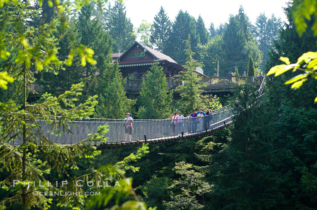 Capilano Suspension Bridge, 140 m (450 ft) long and hanging 70 m (230 ft) above the Capilano River.  The two pre-stressed steel cables supporting the bridge are each capable of supporting 45,000 kgs and together can hold about 1300 people. Vancouver, British Columbia, Canada, natural history stock photograph, photo id 21150