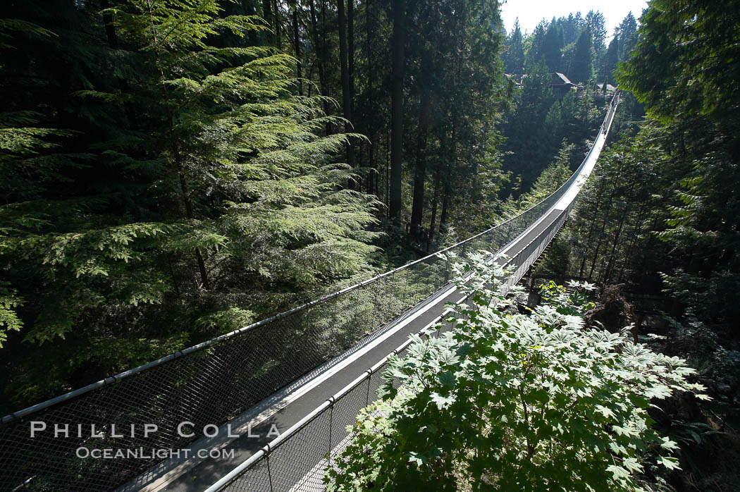 Capilano Suspension Bridge, 140 m (450 ft) long and hanging 70 m (230 ft) above the Capilano River.  The two pre-stressed steel cables supporting the bridge are each capable of supporting 45,000 kgs and together can hold about 1300 people, Vancouver, British Columbia, Canada