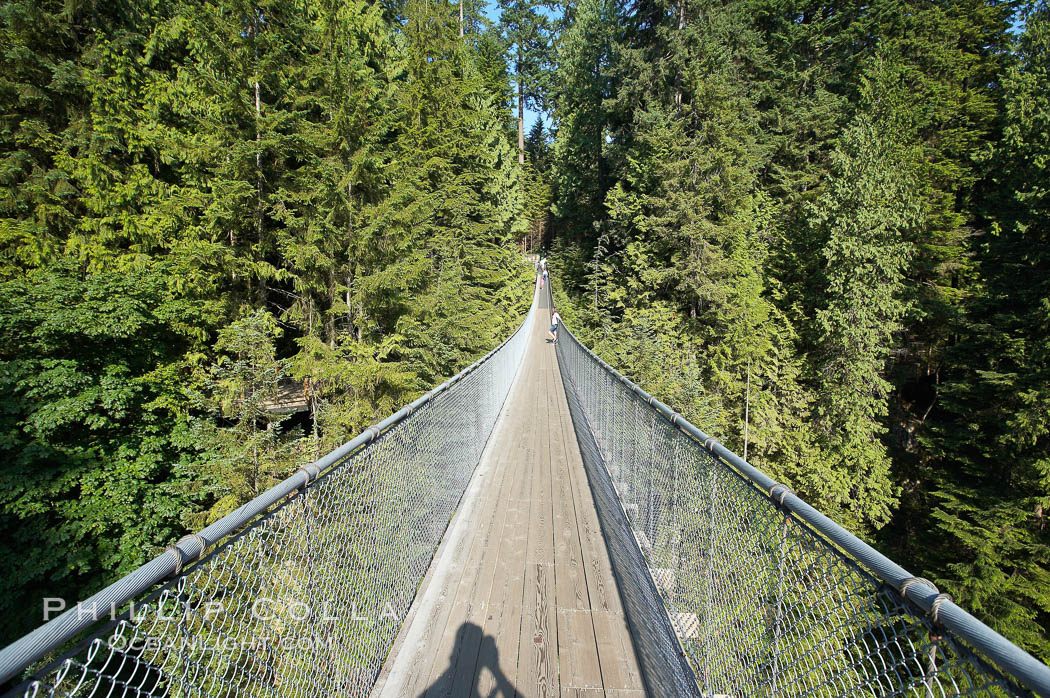 Capilano Suspension Bridge, 140 m (450 ft) long and hanging 70 m (230 ft) above the Capilano River.  The two pre-stressed steel cables supporting the bridge are each capable of supporting 45,000 kgs and together can hold about 1300 people, Vancouver, British Columbia, Canada