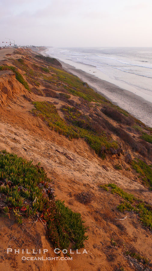 Eroding sandstone bluffs rise above a flat sand beach at sunset, small waves coming ashore, north of South Carlsbad State Beach., natural history stock photograph, photo id 19820