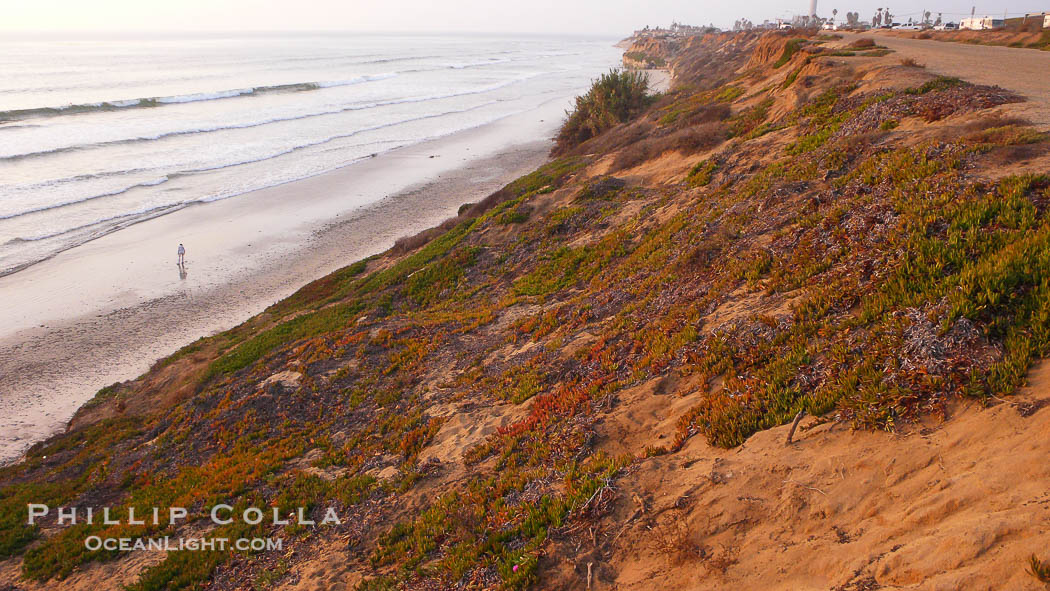 Eroding sandstone bluffs rise above a flat sand beach at sunset, small waves coming ashore, north of South Carlsbad State Beach., natural history stock photograph, photo id 19819