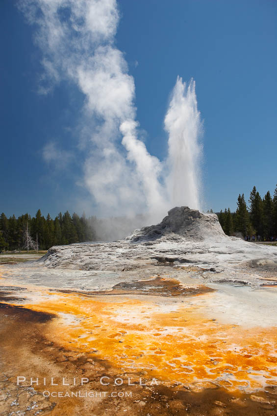 Castle Geyser erupts with the colorful bacteria mats of Tortoise Shell Spring in the foreground.  Castle Geyser reaches 60 to 90 feet in height and lasts 20 minutes.  While Castle Geyser has a 12 foot sinter cone that took 5,000 to 15,000 years to form, it is in fact situated atop geyserite terraces that themselves may have taken 200,000 years to form, making it likely the oldest active geyser in the park. Upper Geyser Basin. Yellowstone National Park, Wyoming, USA, natural history stock photograph, photo id 13426