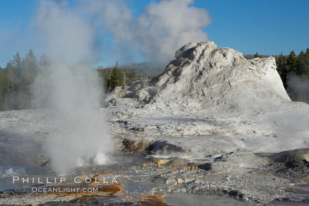 Tortoise Shell Spring bubbles in front of the sinter cone of Castle Geyser. Upper Geyser Basin, Yellowstone National Park, Wyoming