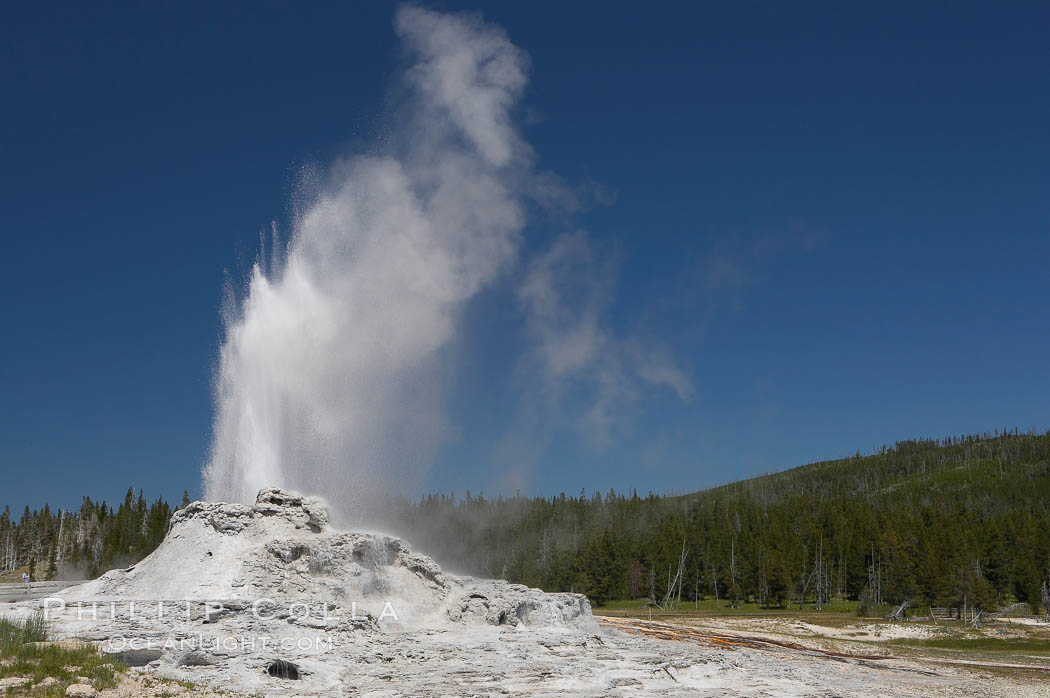 Castle Geyser erupts, reaching 60 to 90 feet in height and lasting 20 minutes.  While Castle Geyser has a 12 foot sinter cone that took 5,000 to 15,000 years to form, it is in fact situated atop geyserite terraces that themselves may have taken 200,000 years to form, making it likely the oldest active geyser in the park. Upper Geyser Basin. Yellowstone National Park, Wyoming, USA, natural history stock photograph, photo id 13442