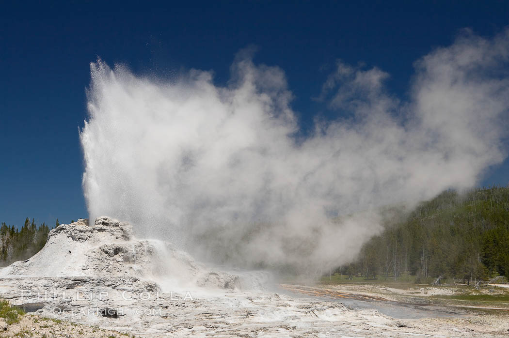 Castle Geyser erupts, reaching 60 to 90 feet in height and lasting 20 minutes.  While Castle Geyser has a 12 foot sinter cone that took 5,000 to 15,000 years to form, it is in fact situated atop geyserite terraces that themselves may have taken 200,000 years to form, making it likely the oldest active geyser in the park. Upper Geyser Basin. Yellowstone National Park, Wyoming, USA, natural history stock photograph, photo id 13424