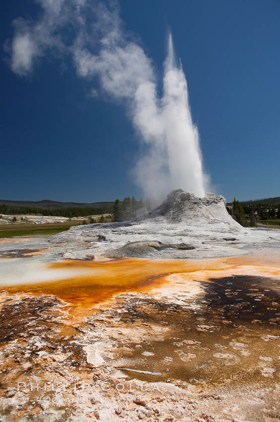 Castle Geyser erupts with the colorful bacteria mats of Tortoise Shell Spring in the foreground.  Castle Geyser reaches 60 to 90 feet in height and lasts 20 minutes.  While Castle Geyser has a 12 foot sinter cone that took 5,000 to 15,000 years to form, it is in fact situated atop geyserite terraces that themselves may have taken 200,000 years to form, making it likely the oldest active geyser in the park. Upper Geyser Basin. Yellowstone National Park, Wyoming, USA, natural history stock photograph, photo id 13444
