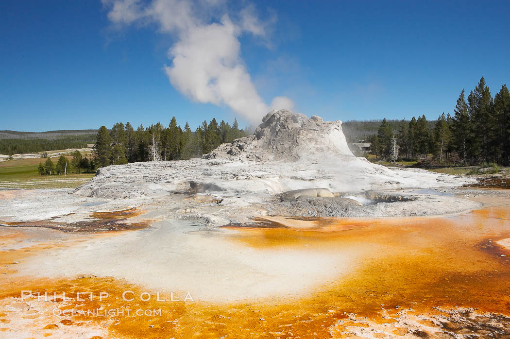 Castle Geyser (during steam phase, not eruption) with the colorful bacteria mats of Tortoise Shell Spring in the foreground. While Castle Geyser has a 12 foot sinter cone that took 5,000 to 15,000 years to form, it is in fact situated atop geyserite terraces that themselves may have taken 200,000 years to form, making it likely the oldest active geyser in the park. Upper Geyser Basin, Yellowstone National Park, Wyoming