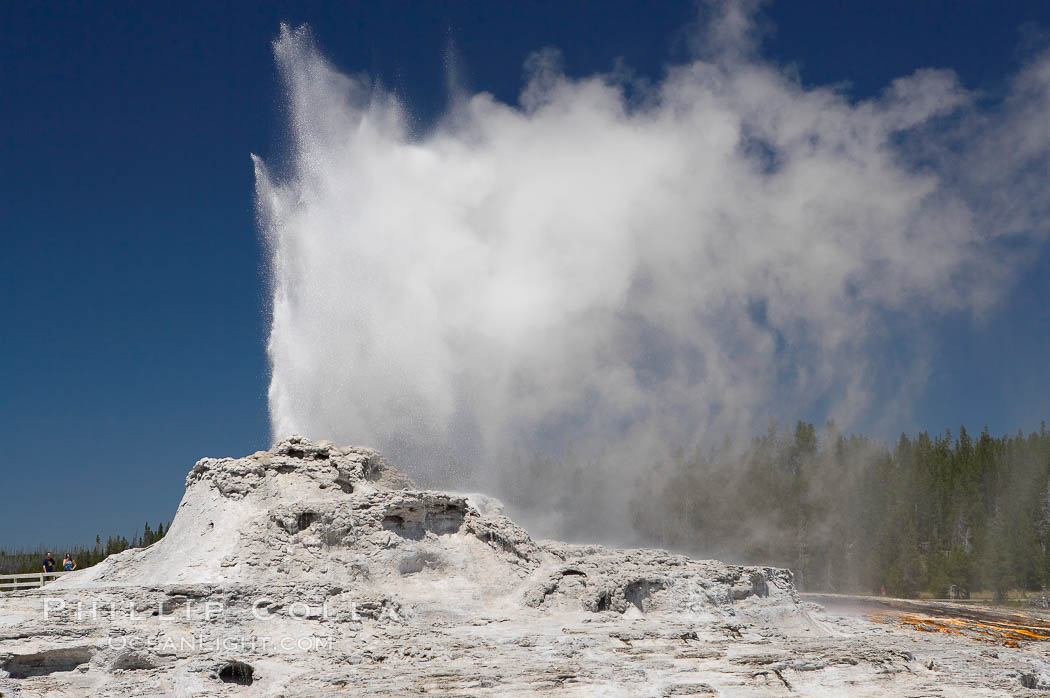 Castle Geyser erupts, reaching 60 to 90 feet in height and lasting 20 minutes.  While Castle Geyser has a 12 foot sinter cone that took 5,000 to 15,000 years to form, it is in fact situated atop geyserite terraces that themselves may have taken 200,000 years to form, making it likely the oldest active geyser in the park. Upper Geyser Basin. Yellowstone National Park, Wyoming, USA, natural history stock photograph, photo id 13431