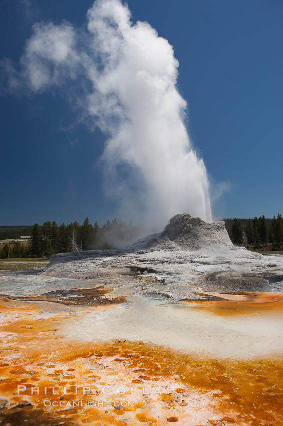 Castle Geyser erupts with the colorful bacteria mats of Tortoise Shell Spring in the foreground.  Castle Geyser reaches 60 to 90 feet in height and lasts 20 minutes.  While Castle Geyser has a 12 foot sinter cone that took 5,000 to 15,000 years to form, it is in fact situated atop geyserite terraces that themselves may have taken 200,000 years to form, making it likely the oldest active geyser in the park. Upper Geyser Basin. Yellowstone National Park, Wyoming, USA, natural history stock photograph, photo id 13437