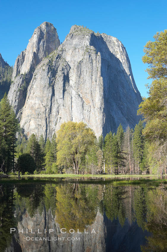 Cathedral Rocks is reflected in flooded El Capitan Meadow, springtime morning.  Yosemite Valley. Yosemite National Park, California, USA, natural history stock photograph, photo id 16100