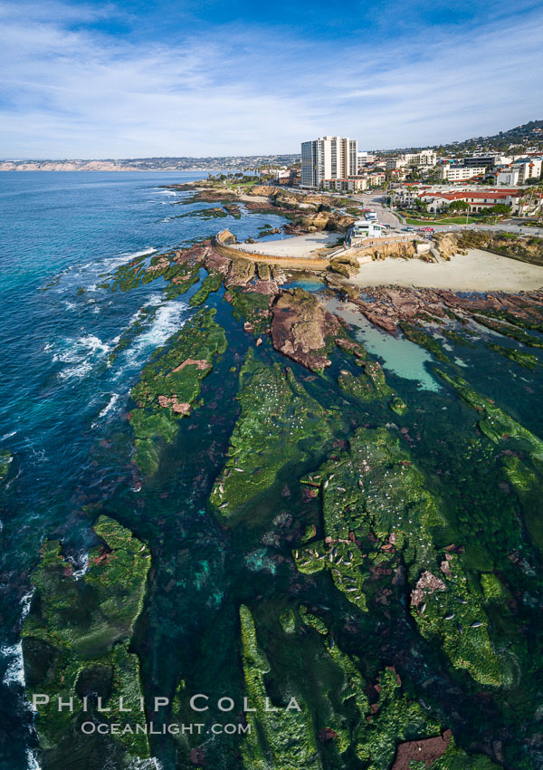 Childrens Pool Reef Exposed at Extreme Low King Tide, La Jolla, California. Aerial panoramic photograph. Children's Pool, USA, natural history stock photograph, photo id 37994