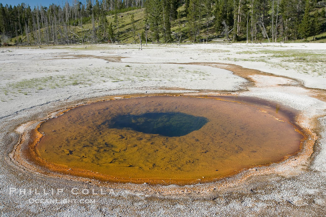 Chromatic Pool, also known as Chromatic Spring., natural history stock photograph, photo id 13822
