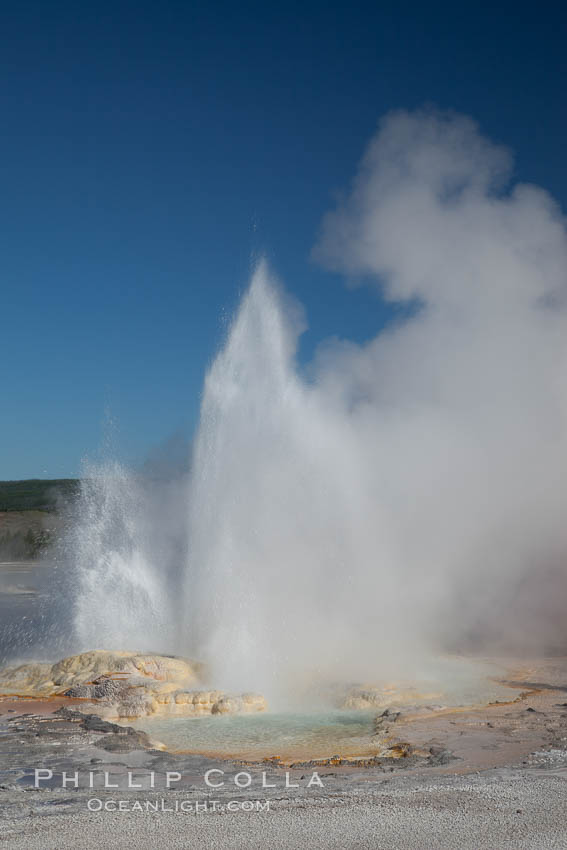 Clepsydra Geyser, a geyser which is almost continually erupting. A member of the Fountain Group of geothermal features. Lower Geyser Basin, Yellowstone National Park, Wyoming, USA, natural history stock photograph, photo id 26961