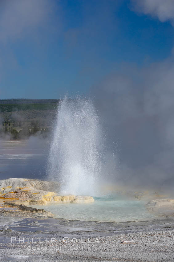 Clepsydra Geyser erupts almost continuously, reaching heights of  feet.  Its name is Greek for water clock, since at one time it erupted very regularly with a three minute interval.  Lower Geyser Basin. Yellowstone National Park, Wyoming, USA, natural history stock photograph, photo id 13532