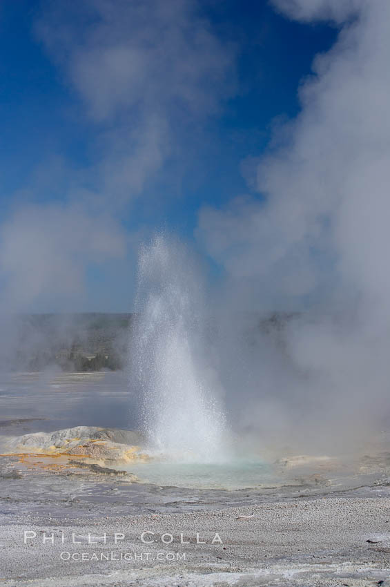 Clepsydra Geyser erupts almost continuously, reaching heights of  feet.  Its name is Greek for water clock, since at one time it erupted very regularly with a three minute interval.  Lower Geyser Basin. Yellowstone National Park, Wyoming, USA, natural history stock photograph, photo id 13533