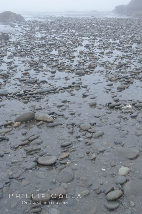 Cobblestones on the beach, low tide. Ruby Beach, Olympic National Park, Washington, USA, natural history stock photograph, photo id 13792