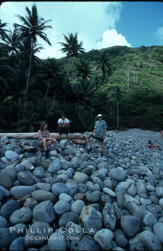 Cocos Island. Costa Rica, natural history stock photograph, photo id 02046