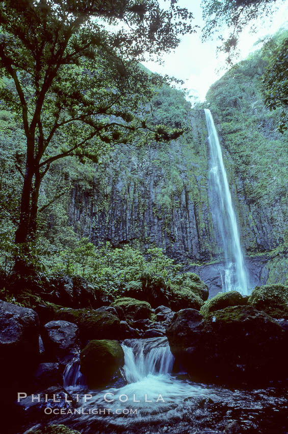 Cocos Island. Costa Rica, natural history stock photograph, photo id 02044