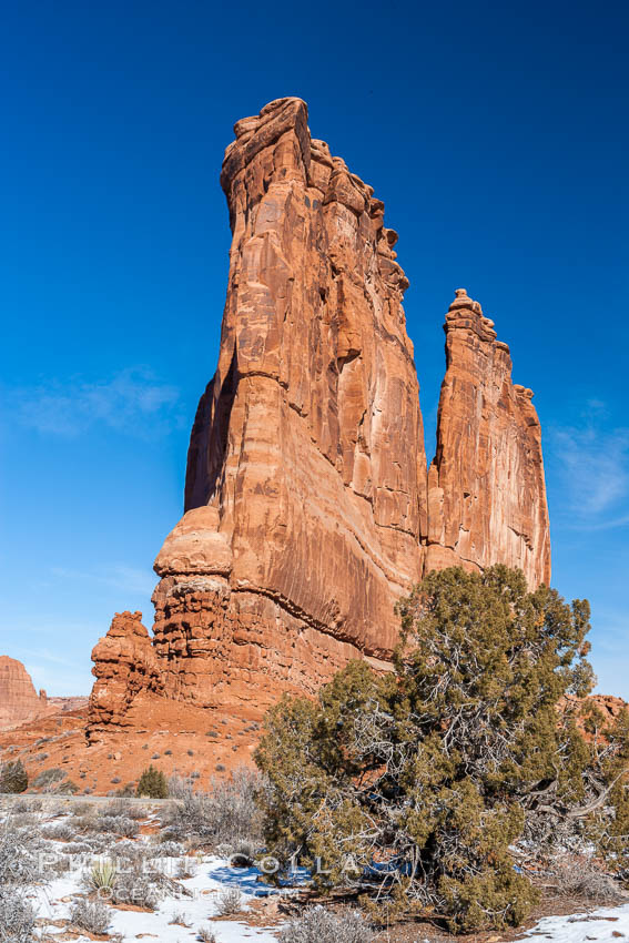 The Organ, Courthouse Towers, narrow sandstone fins towering above the surrounding flatlands. Arches National Park, Utah, USA, natural history stock photograph, photo id 18198