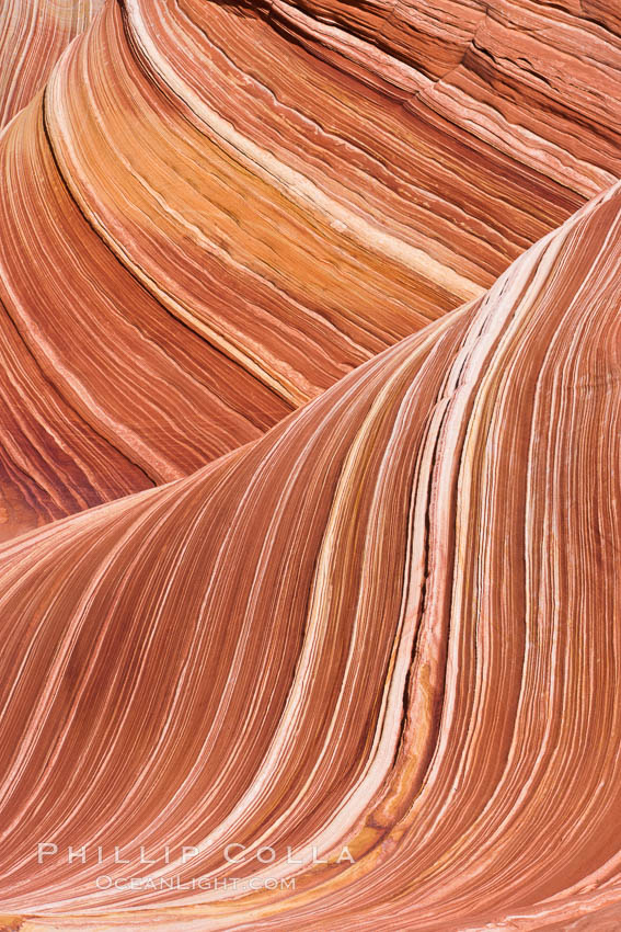 The Wave, an area of fantastic eroded sandstone featuring beautiful swirls, wild colors, countless striations, and bizarre shapes set amidst the dramatic surrounding North Coyote Buttes of Arizona and Utah.  The sandstone formations of the North Coyote Buttes, including the Wave, date from the Jurassic period. Managed by the Bureau of Land Management, the Wave is located in the Paria Canyon-Vermilion Cliffs Wilderness and is accessible on foot by permit only. USA, natural history stock photograph, photo id 20695