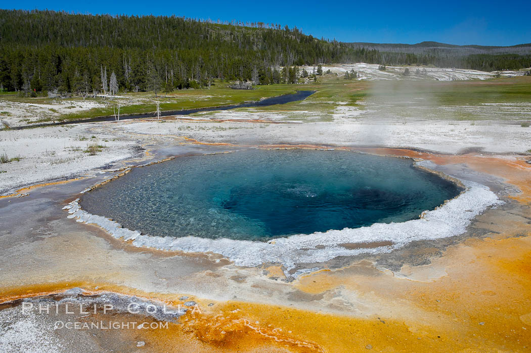 Crested Pool is a blue, superheated pool.  Unfortunately, it has claimed a life.  It reaches a overflowing boiling state every few minutes, then subsides a bit before building to a boil and overflow again.  Upper Geyser Basin. Yellowstone National Park, Wyoming, USA, natural history stock photograph, photo id 13357