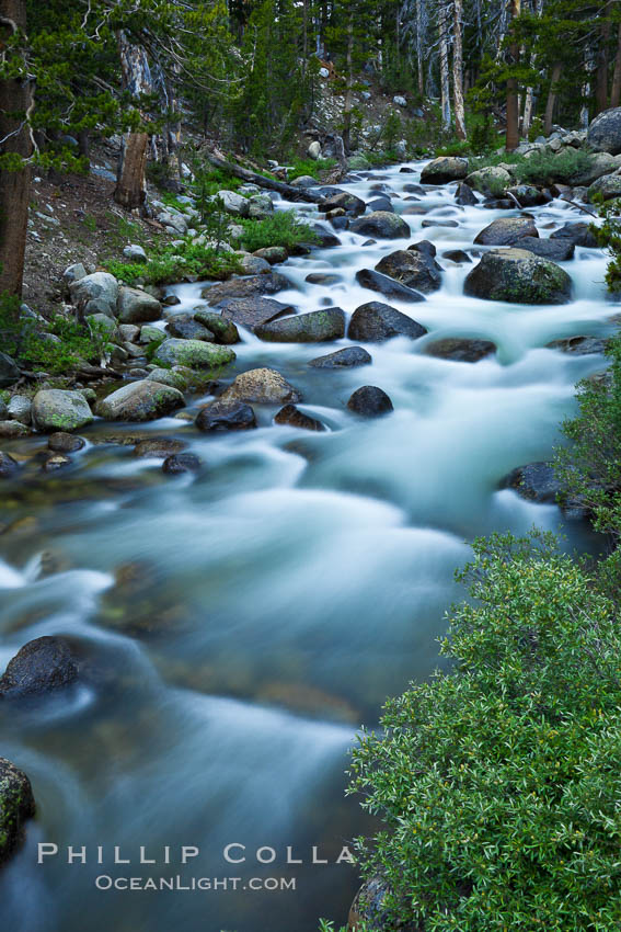 Dana Fork of the Tuolumne River, near Tioga Pass. Yosemite National Park, California, USA, natural history stock photograph, photo id 26976