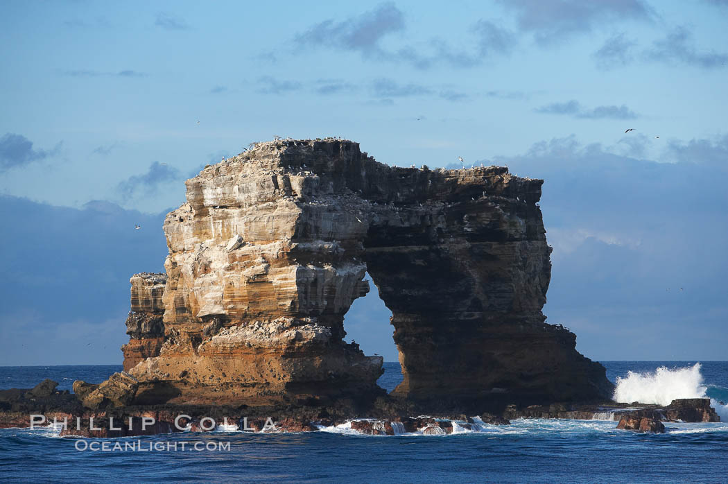 Darwins Arch, a dramatic 50-foot tall natural lava arch, rises above the ocean a short distance offshore of Darwin Island. Galapagos Islands, Ecuador, natural history stock photograph, photo id 16626