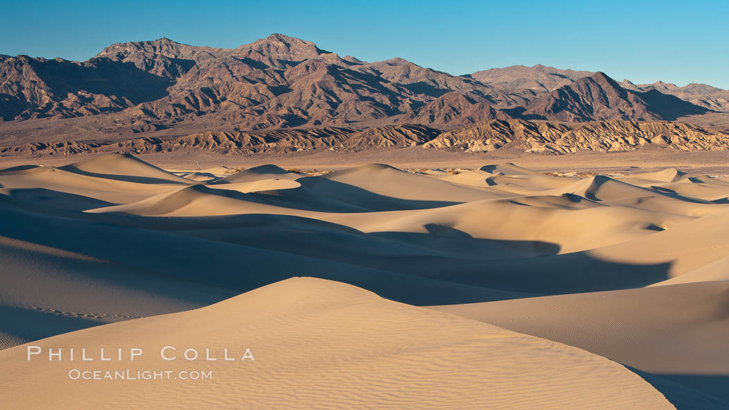 Sand Dunes and the Grapevine Mountains, California.  Near Stovepipe Wells lies a region of sand dunes, some of them hundreds of feet tall. Death Valley National Park, USA, natural history stock photograph, photo id 15642