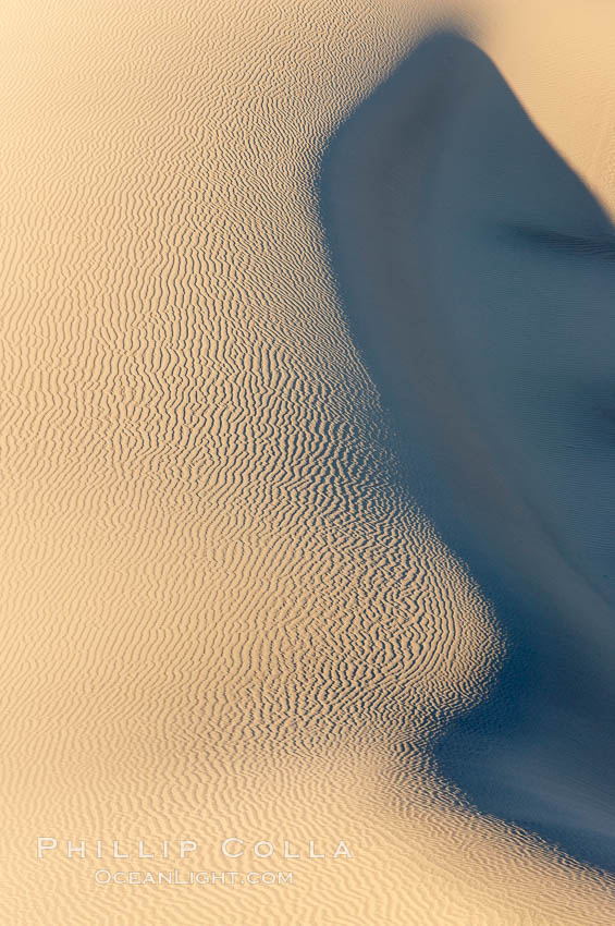 Sand Dunes, California.  Near Stovepipe Wells lies a region of sand dunes, some of them hundreds of feet tall. Death Valley National Park, USA, natural history stock photograph, photo id 15632
