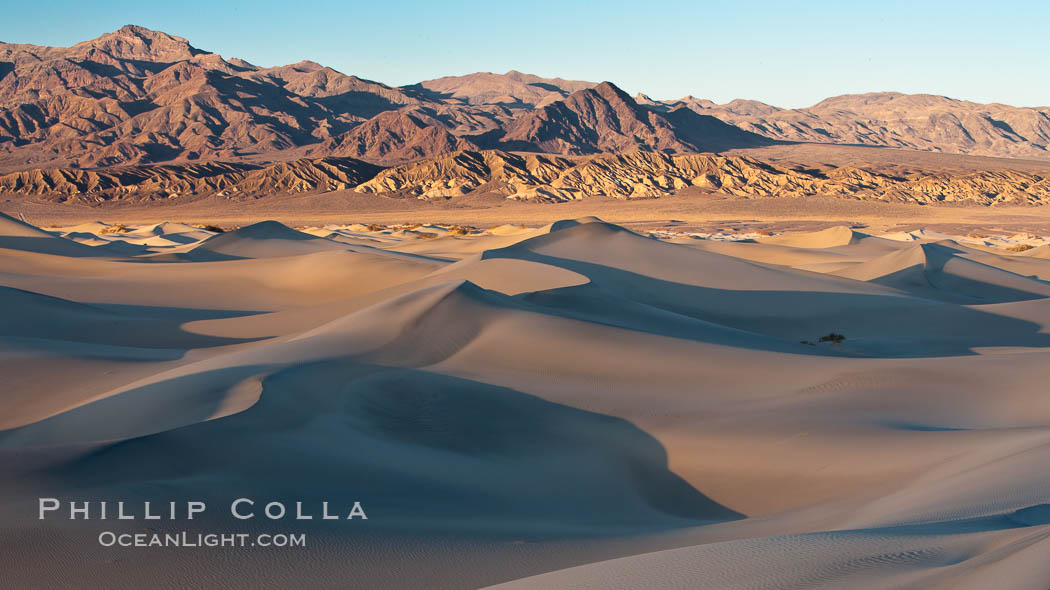 Sand Dunes and the Grapevine Mountains, California.  Near Stovepipe Wells lies a region of sand dunes, some of them hundreds of feet tall. Death Valley National Park, USA, natural history stock photograph, photo id 15636