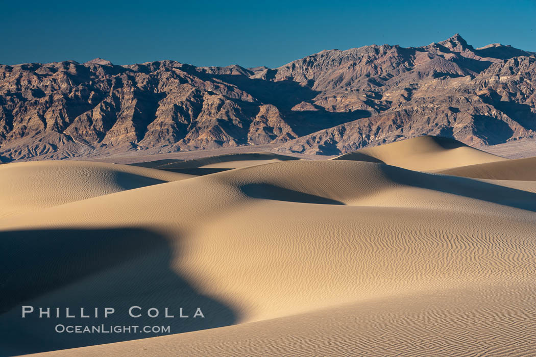 Sand Dunes, California.  Near Stovepipe Wells lies a region of sand dunes, some of them hundreds of feet tall. Death Valley National Park, USA, natural history stock photograph, photo id 15587