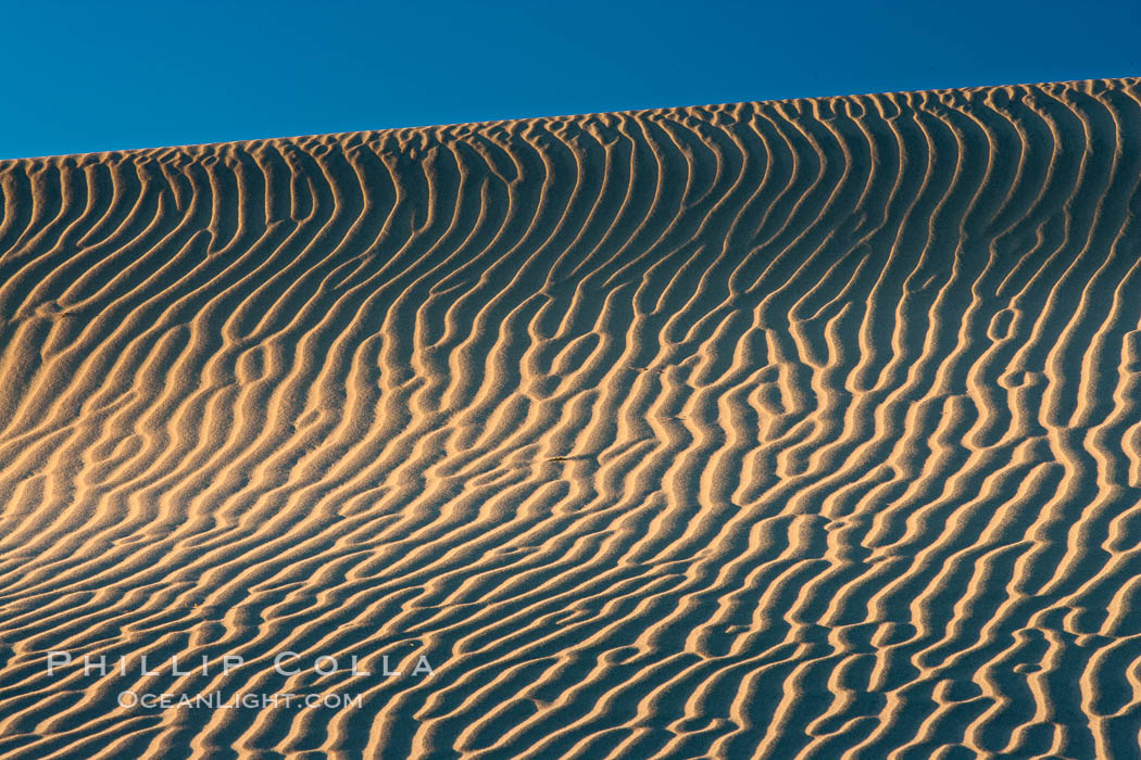 Ripples in sand dunes at sunset, California.  Winds reshape the dunes each day.  Early morning walks among the dunes can yield a look at sidewinder and kangaroo rats tracks the nocturnal desert animals leave behind, Stovepipe Wells, Death Valley National Park