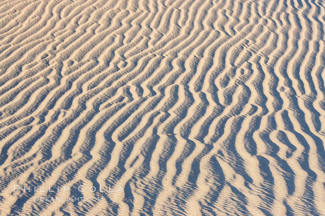 Ripples in sand dunes at sunset, California.  Winds reshape the dunes each day.  Early morning walks among the dunes can yield a look at sidewinder and kangaroo rats tracks the nocturnal desert animals leave behind. Stovepipe Wells, Death Valley National Park, USA, natural history stock photograph, photo id 15631