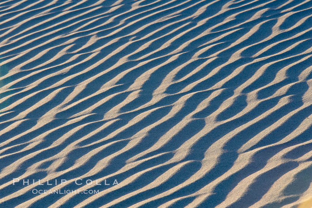Ripples in sand dunes at sunset, California.  Winds reshape the dunes each day.  Early morning walks among the dunes can yield a look at sidewinder and kangaroo rats tracks the nocturnal desert animals leave behind. Stovepipe Wells, Death Valley National Park, USA, natural history stock photograph, photo id 15605