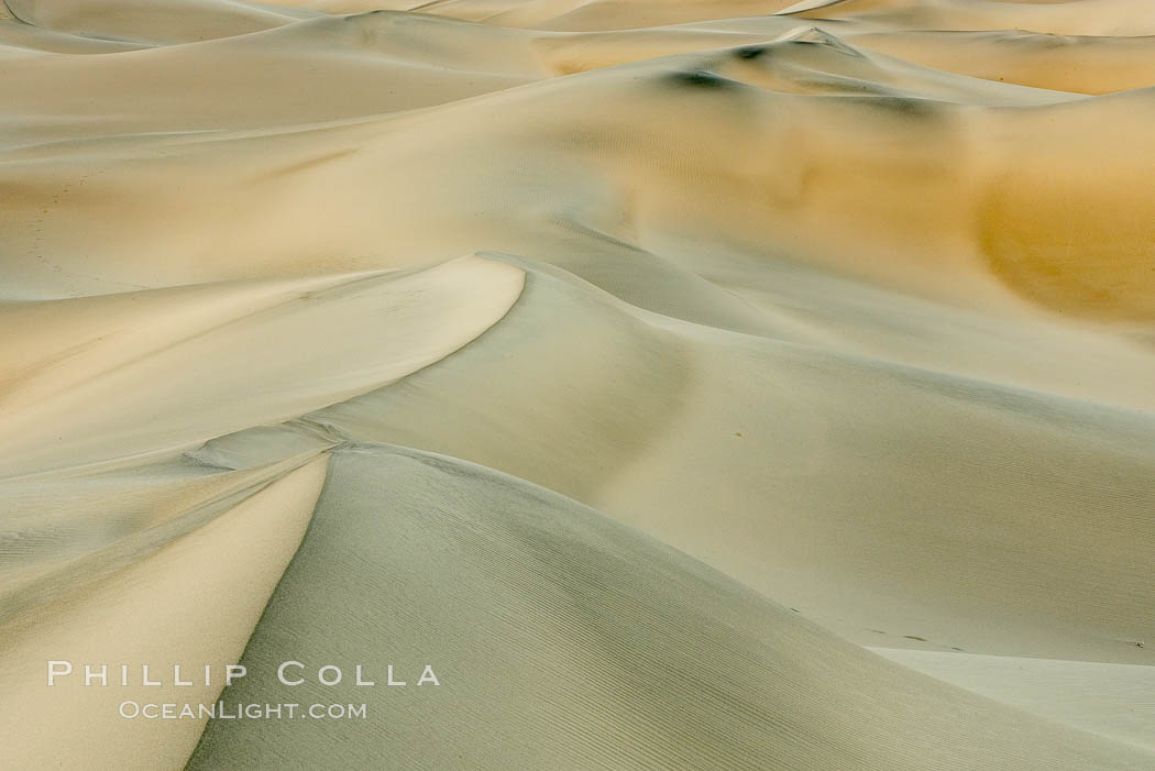Sand Dunes, California.  Near Stovepipe Wells lies a region of sand dunes, some of them hundreds of feet tall. Death Valley National Park, USA, natural history stock photograph, photo id 15609