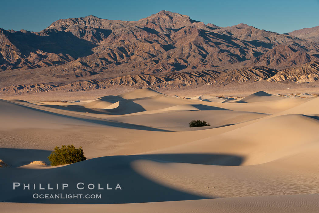 Sand Dunes and the Grapevine Mountains, California.  Near Stovepipe Wells lies a region of sand dunes, some of them hundreds of feet tall. Death Valley National Park, USA, natural history stock photograph, photo id 15641