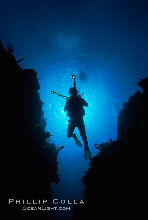 Diver and camera. Roatan, Honduras, natural history stock photograph, photo id 01114