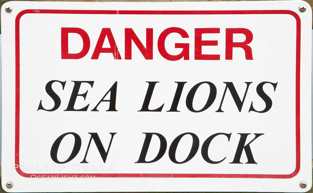 Dock sign warning visitors of sea lions. Astoria, Oregon, USA, natural history stock photograph, photo id 19381