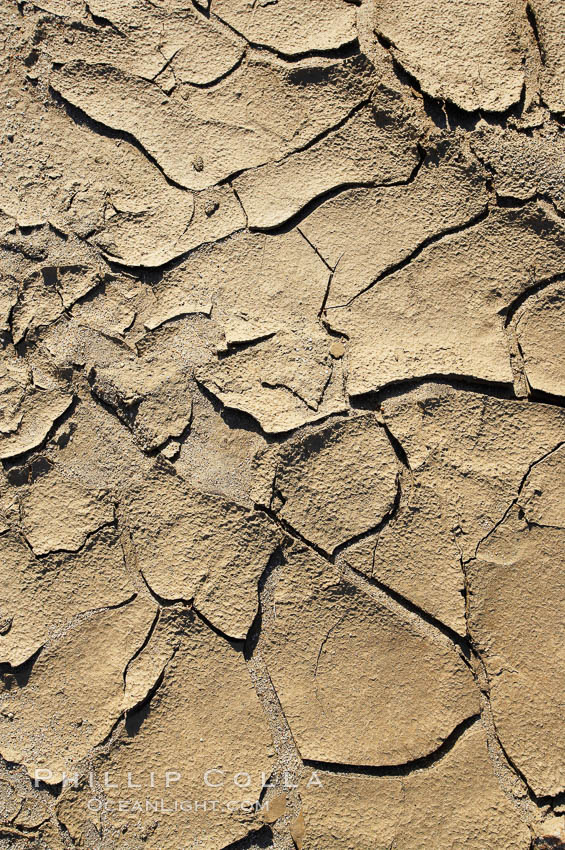 Dried mud, scorched earth, cracks from long-dried rain puddles. Anza-Borrego Desert State Park, Borrego Springs, California, USA, natural history stock photograph, photo id 20478