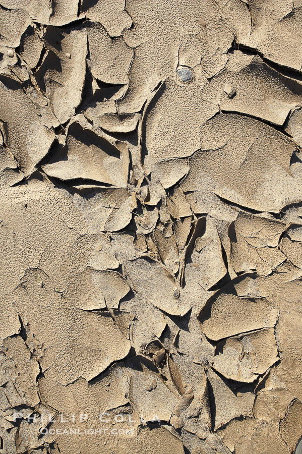 Dried mud, scorched earth, cracks from long-dried rain puddles., natural history stock photograph, photo id 20486