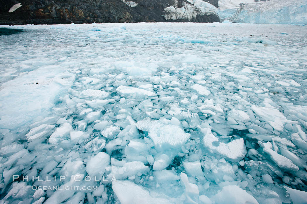 Drygalski Fjord, packed with brash ice which has broken away from Risting Glacier at the end of the narrow fjord. South Georgia Island, natural history stock photograph, photo id 24740