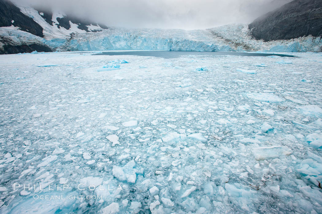 Drygalski Fjord, packed with brash ice which has broken away from Risting Glacier at the end of the narrow fjord. South Georgia Island, natural history stock photograph, photo id 24743